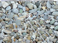 stone1.jpg